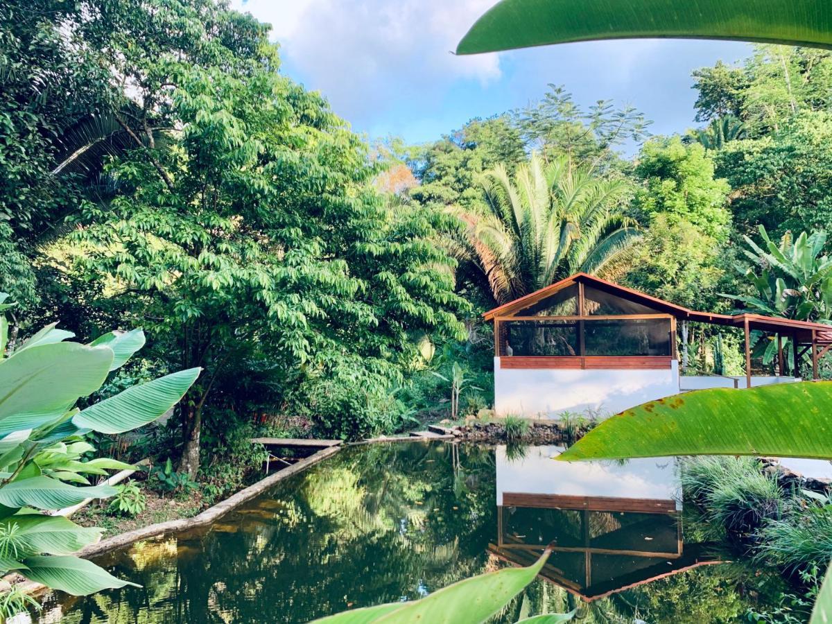 Sattva Land Hotel Belmopan Ngoại thất bức ảnh